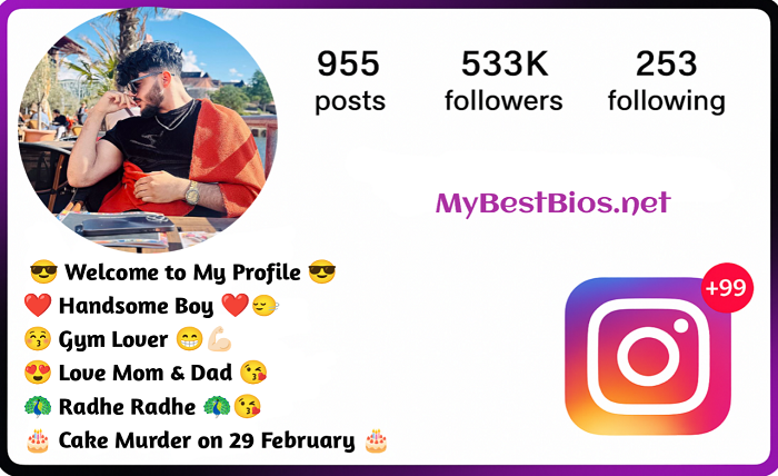 insta bio boys