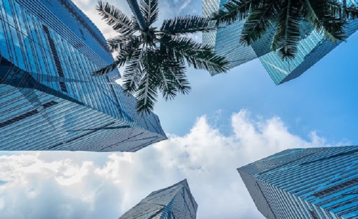 Property Investment 